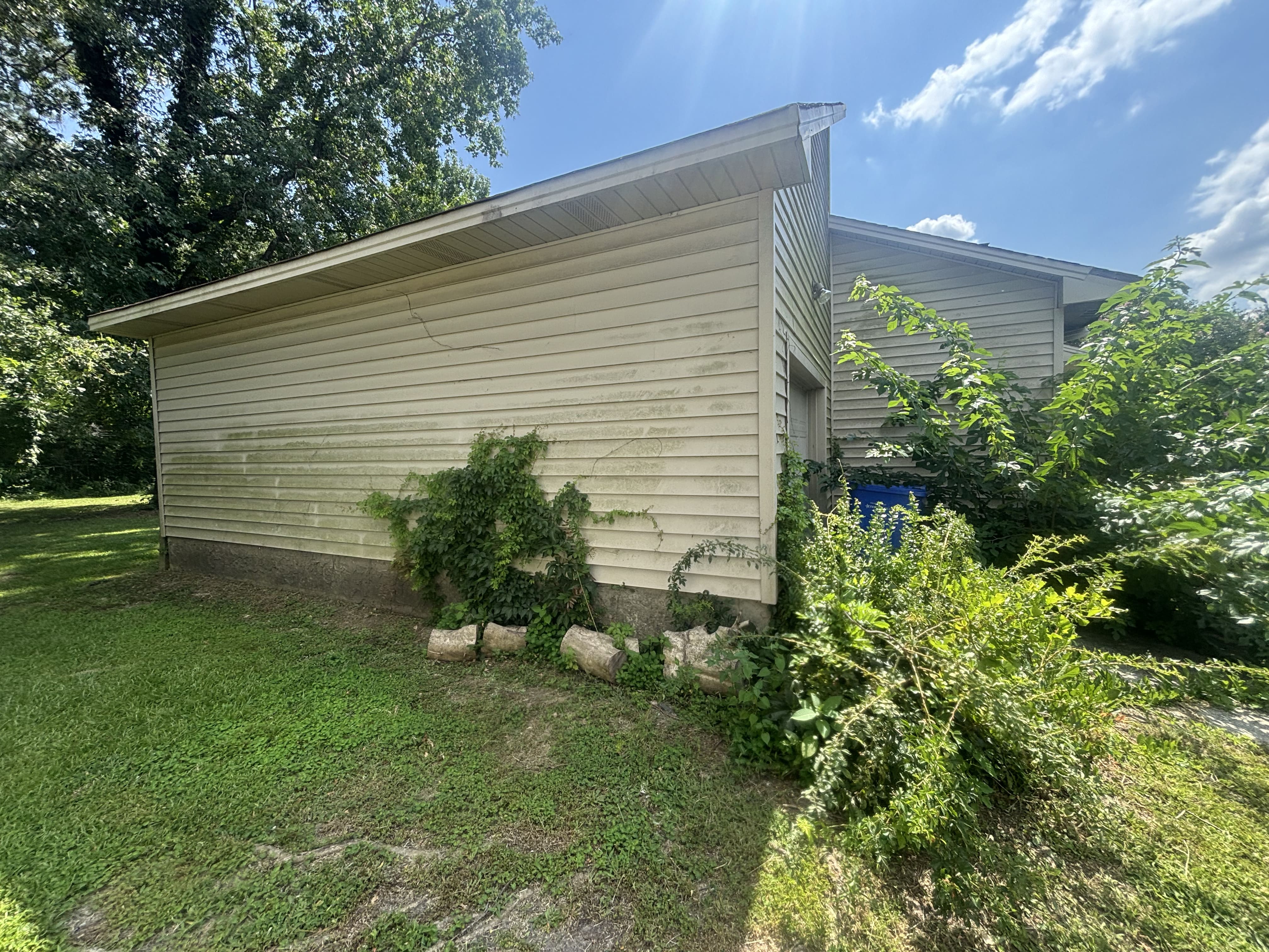 Exterior side — vines on siding, Fayetteville NC
