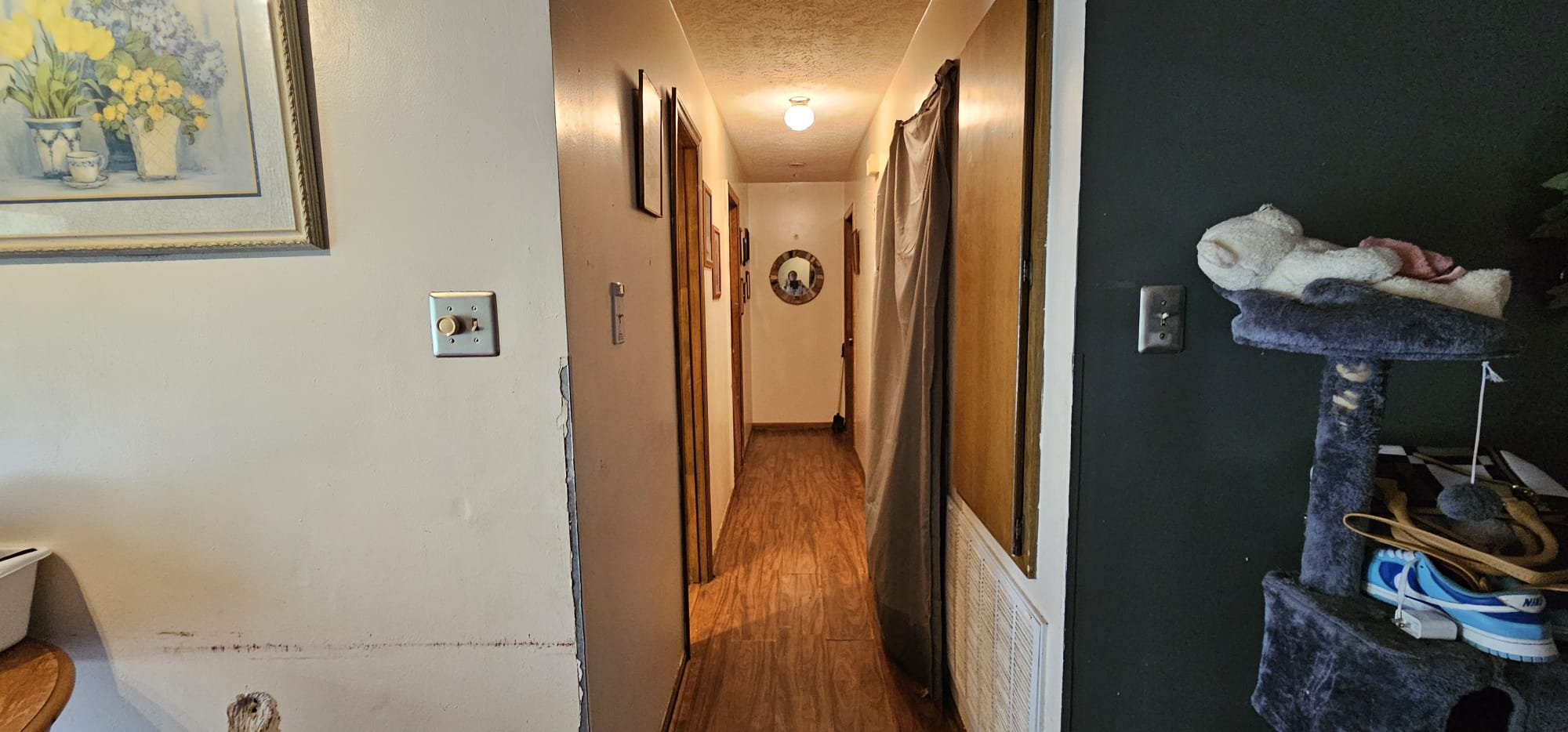 Hallway — dark green walls, cat tree, Rockingham NC