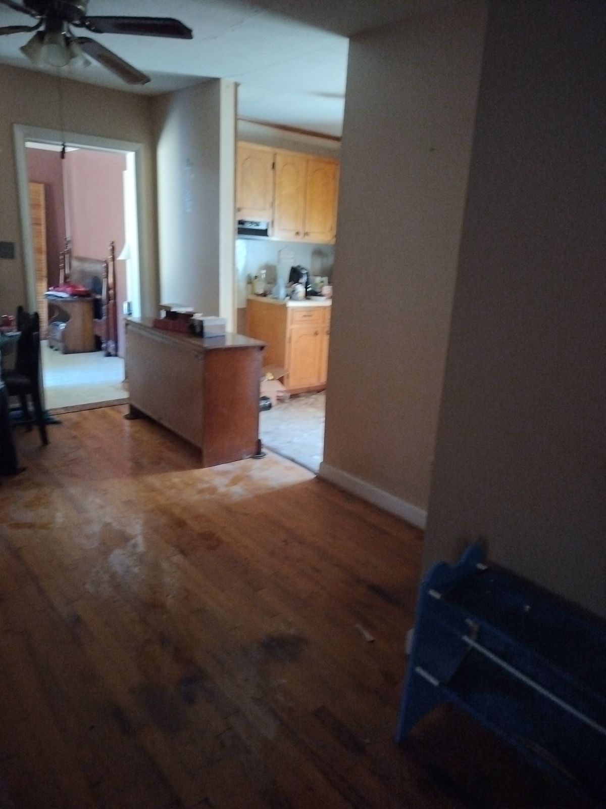 Hallway through to living and kitchen — hardwood floors, Stoneville NC