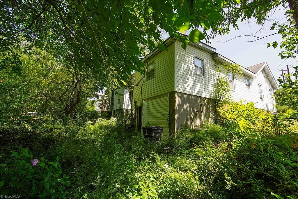 Heavily overgrown rear yard — Winston-Salem NC